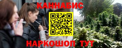 сатива Коммунар