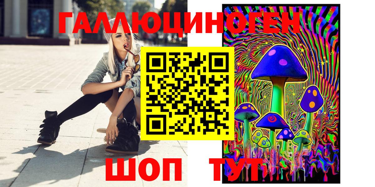 Псилоцибиновые грибы Cubensis Донской
